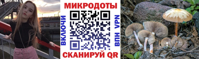 Галлюциногенные грибы Magic Shrooms  наркошоп  Лесной 